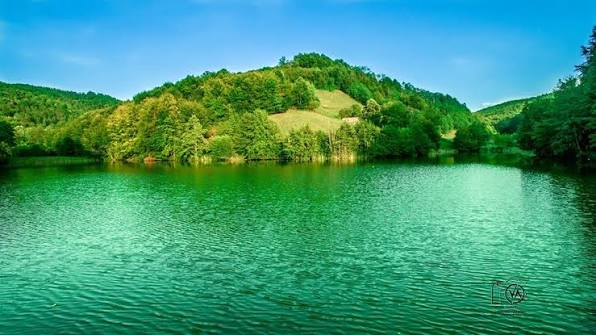 Jezero Brana okruženo zelenim šumama