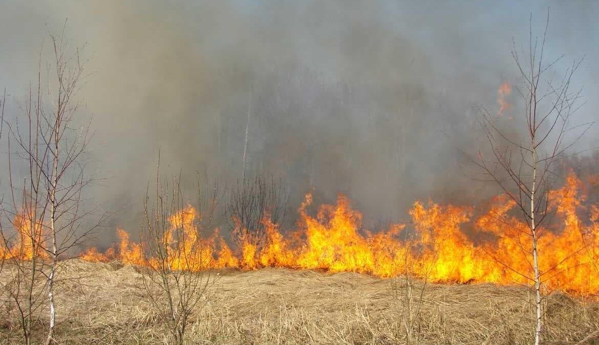 POŽARI NA PODRUČJU OPĆINE BUŽIM STAVLJENI POD KONTROLU